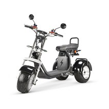 전기스쿠터 전동 Citycoco-최대 하중 250KG 성인용 전기 3 휠 스쿠터 6000W 모터 최대 속도 55-65 KM/H, 07 60V50AH