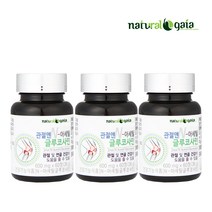관절앤 N 아세틸 글루코사민 무릎 관절 연골 건강 건강기능식품 6개월분, 단품, 단품