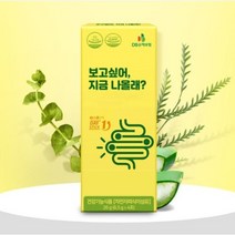 보고싶어 지금나올래 차전자피식이섬유 변비직빵 환 쾌변 장청소(6.5g x 4포), 4포x2개