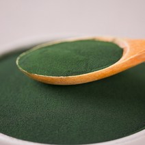 클로렐라 분말 가루 150g 한약재 한방 약초