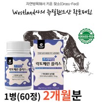 모로오렌지 초유 락토페린 락토패린 단백질 프리미엄정 락토페린정 골드 그래스패드 그레스패드 그래스페드 동결건조 여자 여성 저분자어린콜라겐펩타이드 레몬밤추출분말, 1병(60정)/2개월분