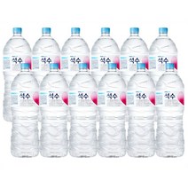 진로 석수 생수 2리터 생수2L 6개 12개 6펫 12펫 생수묶음 먹는샘물