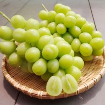 [계절식탁] 김천 샤인머스켓 3-4년생 달콤한 망고포도 청포도, 특품 1.2kg 내외(2송이)