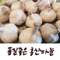 국내산 햇 홍산마늘 1kg 고당도 싱싱한 파릇파릇한 산지직송 당일수확 신선한 농장직송 직접재배 국산, 홍산마늘1Kg