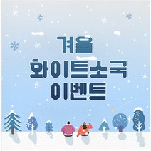 겨울국화꽃 소국화 생화택배 꽃다발, 화이트 겨울이벤트