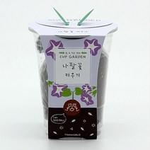 컵속정원 생태학습 홍보판촉 식물키우기 홈 상추 친환경모종재배 봉선화 옥수수