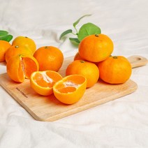 [청정제주직송] 온가족 입맛에 딱! 제주돌담 고당도 조생귤 감귤, 1박스, 9kg (꼬마과)