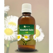 Mountain Daisy Celmisia Spectabilis) 에센셜 오일 100 순수 천연 희석되지 않은 | 아로마테라피에 사용 치료 등급 30ML)