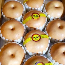 설 추석 한가위 명절 제사상 제철 선물용 제수용 꿀맛 나주 신고배 햇배 산지직송 (특품) - 7.5Kg(8~10과/11~12과) 15Kg(19~20과/21~23과), 21~23과, 15Kg