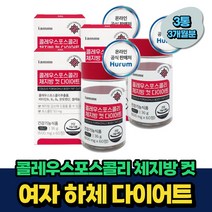 여자 허벗지살 다이어트 콜레우스포스콜리 흰강낭콩 비움샵 3개월분 남자 여성 예비신부 내장지방 뱃살 팔뚝살 속성 한달 2주 체지방 감소 컷팅 보조제 식약처인증 추천