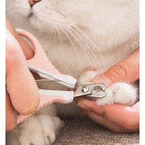 고양이발톱깎기 발톱가위 줄포함 셋트, 블루