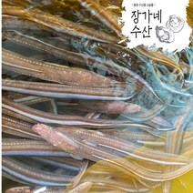 최상급 자연산 통영 손질 바다장어(대) 1kg 2kg 붕장어 아나고 보양식, 장어양념추가(매운양념맛), 1개