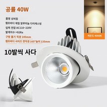 코끼리 트렁크 램프 led 눈부심 방지 스포트라이트 임베디드 조정 가능한 각도 의류 매장 상업 거실 천장 cob downlight, 8. 10개 x 중성광 40W 개구부 14.5cm 외경