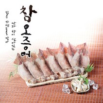 [자연원]국내산 특大반건오징어 5미(팩당 5미포장 140g이상)