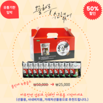 풀린애 녹용골드 피로회복 에너지충전 상쾌한하루 10병, 1박스