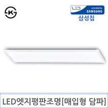 LED 엣지평판조명 1200X300 [매입형 담파](DY-114), 40W 3000K전구색 KS