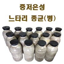 느타리종균(병), 노루궁뎅이(비닐배지)