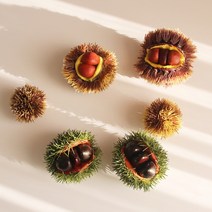밤송이 가시 인조 모형 가을 소품, 알밤(10P)
