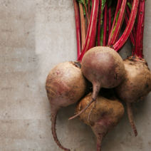 푸릇푸릇 제주 유기농 레드 비트 2kg 3kg 5kg 10kg 알 생비트 국산 물 김치, 알비트3kg