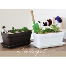 실내 미니정원 만들기 테라스 화분 취미생활 베란다, 브라운