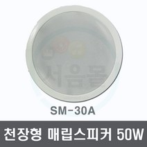 SM-30A 50W 천정형 매립형 스피커