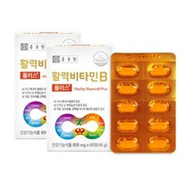 종근당 고함량 고농축 비타민B 8중 복합기능성 활력비타민B 60정 2박스 4개월분