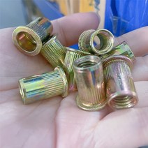 인서트 번데기 너트 10Pcs M3 M4 M5 M6 M8 아연 도금 탄소강 널링 너트 리벳 플랫 헤드 삽입 캡, [03] M3