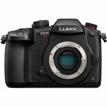 Panasonic 파나소닉 LUMIX GH5S 본체 4K 디지털 카메라 고감도 MOS 센서, Base