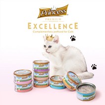 프린세스 고양이 주식캔 70g, 치킨&연어 70g