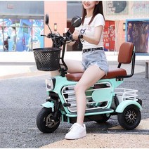 전기 세발 자전거 가족 픽업 전기자전거 전동 출퇴근, 10A 약 40km (레드)