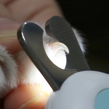 울리올리 반려동물 LED 안전 발톱깎이 미니 가위형, 블루