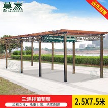 전원주택 SLP 캐노피 스카이어닝 가제보 루프탑 썬테크 파고라 휴식 그네 테이블 세트 바베큐, I. 3열 포도 랙 2.5x7.5M