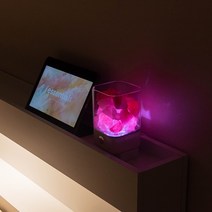안나네이처 천연크리스탈과 천연오일의 led디퓨져무드등세트 힐링디퓨져무드조명감성굿나잇, 화이트, 3. 아로마오일_티트리