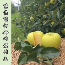 예산명품사과 10킬로그램 선물용 제수용 특대사과 선물받는사람이 행복해하는사과 제수용 선물용, 1박스, 10kg 시나노골드명품1호