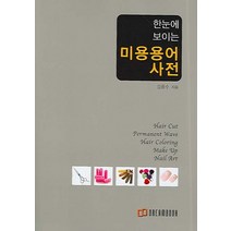 한눈에 보이는 미용용어사전, 드림북, 김용수 저