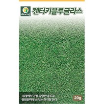 켄터키블루그라스잔디씨앗 20g TX, 없음