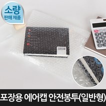 라이펀 [포장연구소]포장용 에어캡 안전봉투100장 25cmX32cm, 단품