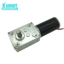 Bringmart-70kg.cm 토크 DC 웜 기어드 모터 12V 24V 미니 기어 박스 DIY 커튼 기계용 자동 잠금 엔진 반전, 07 12V 260rpm_05 Package five