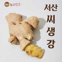 농사친구 국내산 서산 씨생강 생강 종자 씨앗 생강씨 보급종, 5KG
