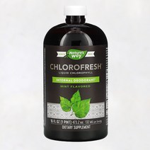 네이처스웨이 엽록소 클로로필 멀베리 구리 민트 473ml, 473ml 1개