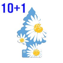 리틀트리 방향제 10+1 (데이지 필드) 11개 (10+1) 데이지필드, 1개