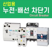나노전기 (산업용) (사은품) 반드시 설치! 고감도 누전 배선 차단기 두꺼비집 주택 아파트 다세대, 산업용 배선 차단기 (NFB) / 25. NBH-204s/ 150A