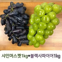 잉?씨가없네? 씨없는 포도들에 반란 샤인1kg+블랙사파이어1kg, 샤인머스켓  2kg 수출용 큰수2