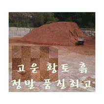 황토흙 1kg / 육지거북 거북이 도마뱀 뱀 바닥재 파충류 용품