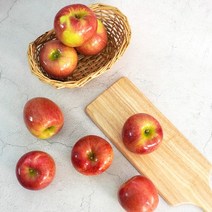 [KT알파쇼핑][더조은] 아리수 사과 가정용 3kg 10-13과