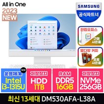 삼성전자 올인원PC 일체형PC ( 13세대 CPU i3-1315U SSD 256GB RAM 8GB ) 가정용 인강용 대학생 화상강의, SSD 256GB+RAM 16GB+HDD 1TB