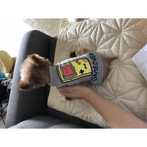 강아지 티셔츠 애견 고양이 비숑 요크셔테리어 슈나우저, M, C