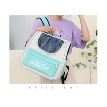고양이 이동 가방 백팩 기내용 산책용