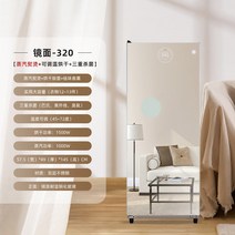 의류관리기 옷드라이 스팀 다림질 완전 자동 의류 관리 기계 대용량 가정용 건조기 소독 주름 제거, 4. 320 미러 스팀 모델