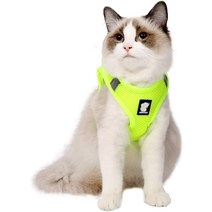 고양이캣휠 캣휠 고양이휠Heywean 고양이 하네스 및 목줄 - 초경량 탈출 방지 칼라 러, 01 X-Small_02 레이크 블루